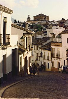 Ronda - view toward Santa Maria la Mayor