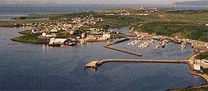 Sand Point from the air