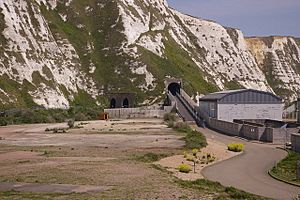 Samphire Hoe - geograph.org.uk - 799344