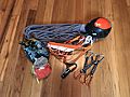 Sport Climbing Equipment