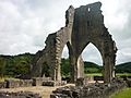 Talley Abbey 2010