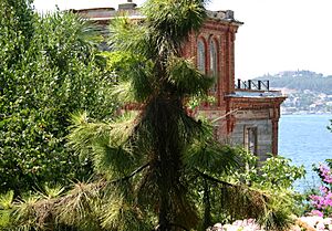 Trotsky House Istanbul