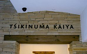 Ts'ikum'a K'aiya museum