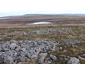 View across Mynydd Llangatwg - geograph.org.uk - 275832