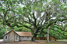 Washington Oaks State Gardens.jpg