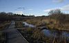 Wetlands area at Foxglove Covert.jpg