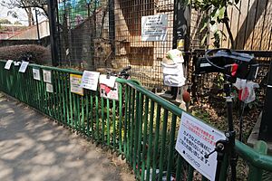 羽村市動物公園 ニコ生 2017 (32782507624)