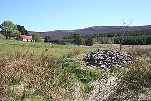 Auchindown's Cairn - geograph.org.uk - 1300868