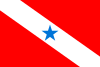 Flag of State of Pará