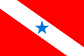 Bandeira do Pará