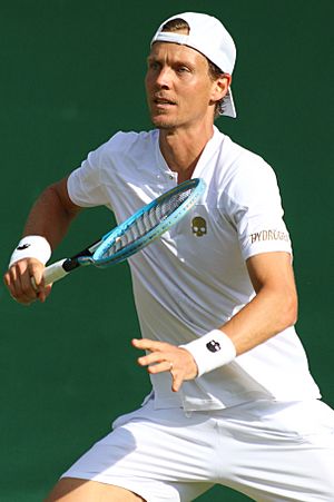 Berdych WM19 (9) (48521867956).jpg