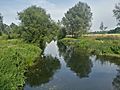 Blackwater and Chelmer canal 1