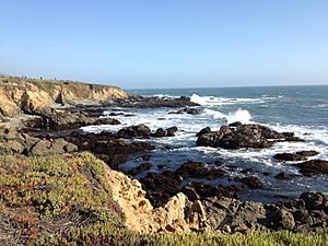 Bluffs and shoreline