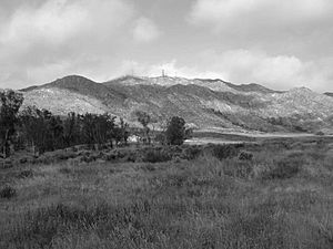 Box Springs Reserve, named after Box Springs