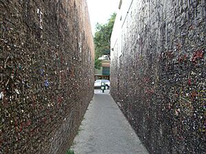 Bubble Gum Alley