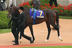 Deep Impact(horse) 20051023