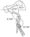 Dilophosaurus forelimb orientation