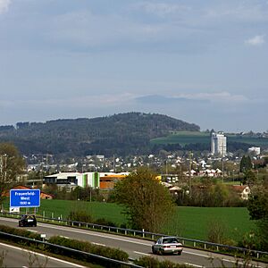 Frauenfeld-West-03