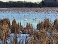 Great Meadows 20200101 154214