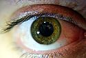 Greeneye