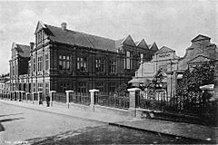 Ipswich New Museum, 1881