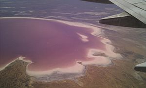 Lake eyre