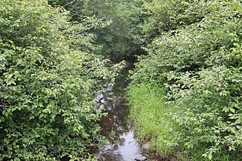 Little Shickshinny Creek.JPG