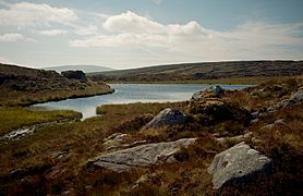 Lough Firrib, Wicklow, Ireland