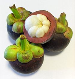 Mangosteen.jpeg