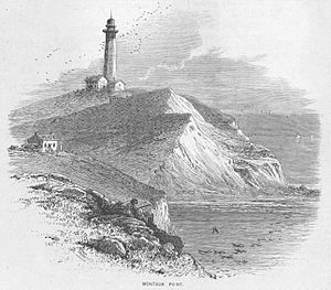 Montauk Point (NYPL b13512827-424323)