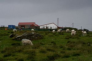 Moorhouse, North Aywick - geograph.org.uk - 860986.jpg