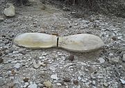 Pfeifer Shale concretions 20151226 123544