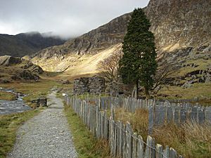 Plascwmllan and the Gladstone Rock - geograph.org.uk - 1286451