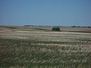 Prairie Alberta