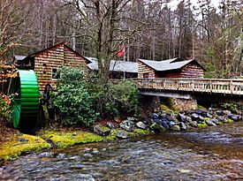 Roan Mountain State Park.jpg