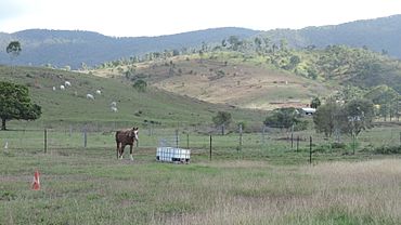 Rural landscape, Mount Chalmers, 2016.jpg