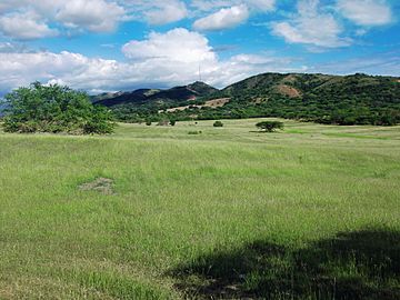 Sierra Bermeja Cabo Rojo.jpg