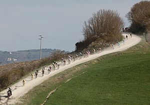 Strade Bianche 2014 (13504915215)