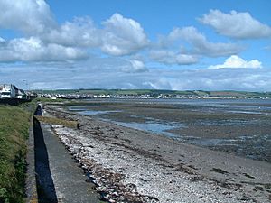 Stranraer from NE