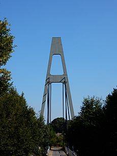 Suspension bridge Stockley Park