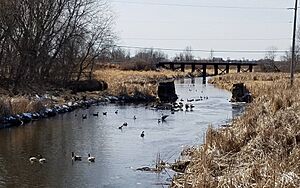 TheBlackCreekinBlackCreek,Wisconsin2018