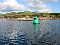 Trench Point, Campbeltown Loch, Kintyre. - geograph.org.uk - 61193.jpg