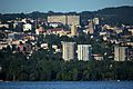 View of Lausanne (VD), Swltzerland from the shore of lake Geneva in St-Sulpice (VD), Switzerland Contrast-sharpen-DSC 4489