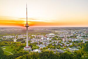 Vilniaus televizijos bokštas, 2023