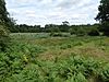 Weston Fen