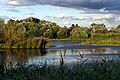 Wetland Centre Lagoon