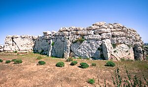 Ġgantija 2014-001