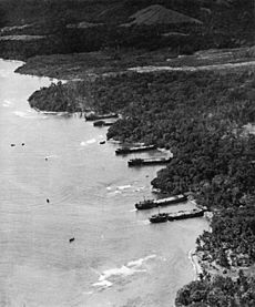 Aerial view of shoreline of Saidor