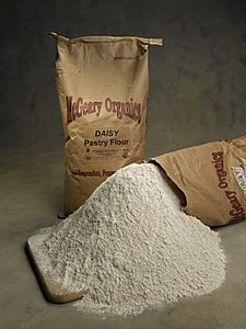 Bag of flour162