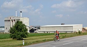 Biomasseheizkraftwerk Steyr, Aussenansicht mit Radfahrerin